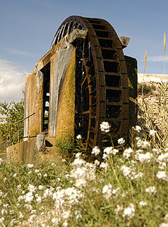 Abarán